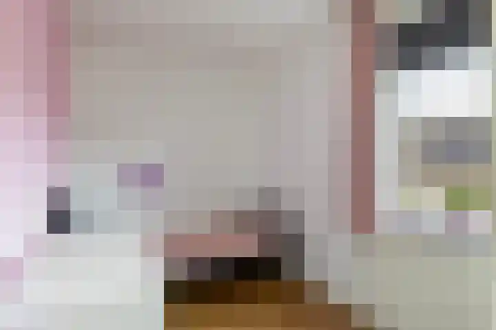 Boudewijnsweg 8 Oene thumbnail 14