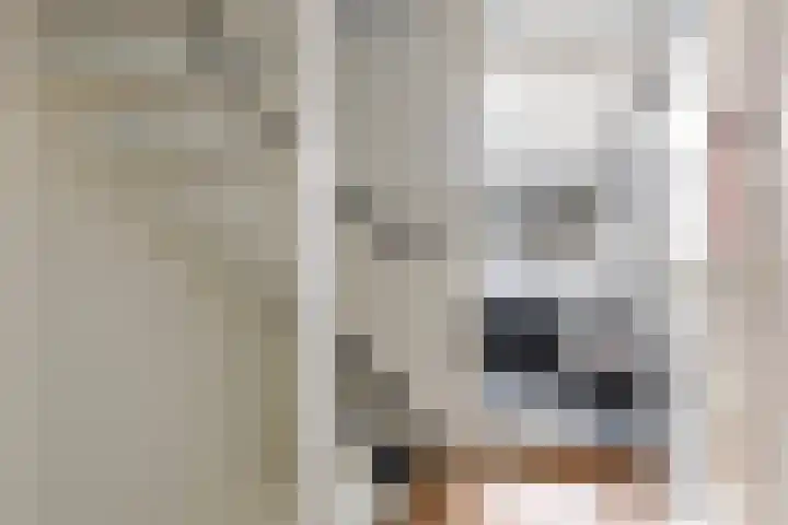Boudewijnsweg 8 Oene thumbnail 17