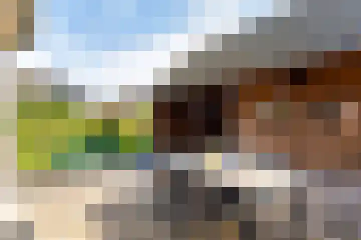 Boudewijnsweg 8 Oene thumbnail 19