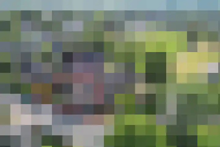 Boudewijnsweg 8 Oene foto 2