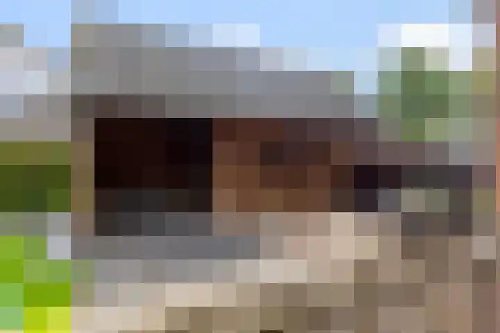 Boudewijnsweg 8 Oene thumbnail 24