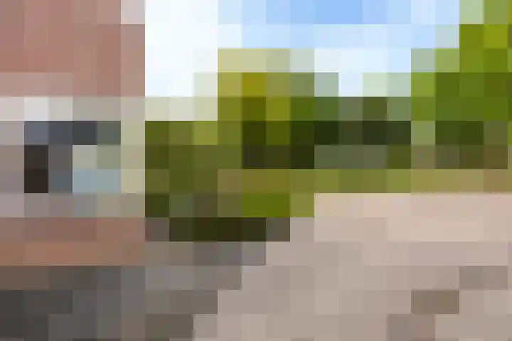 Boudewijnsweg 8 Oene thumbnail 27