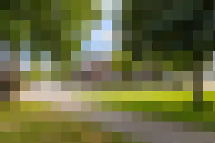 Boudewijnsweg 8 Oene thumbnail 28
