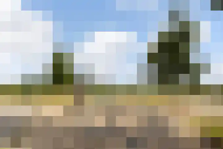 Boudewijnsweg 8 Oene thumbnail 29