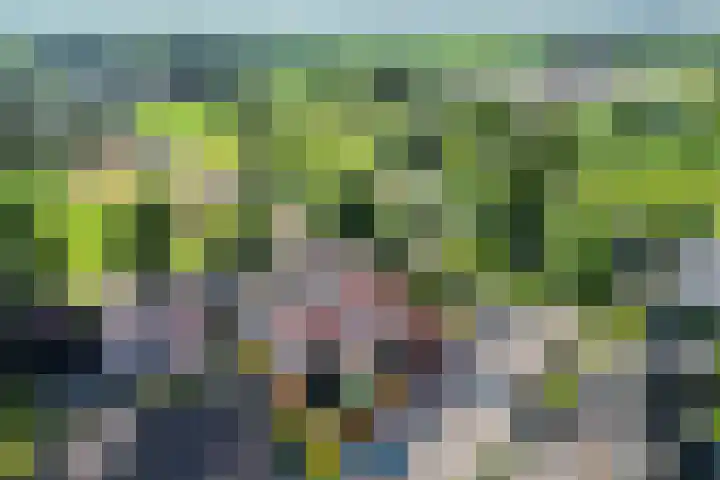 Boudewijnsweg 8 Oene thumbnail 30