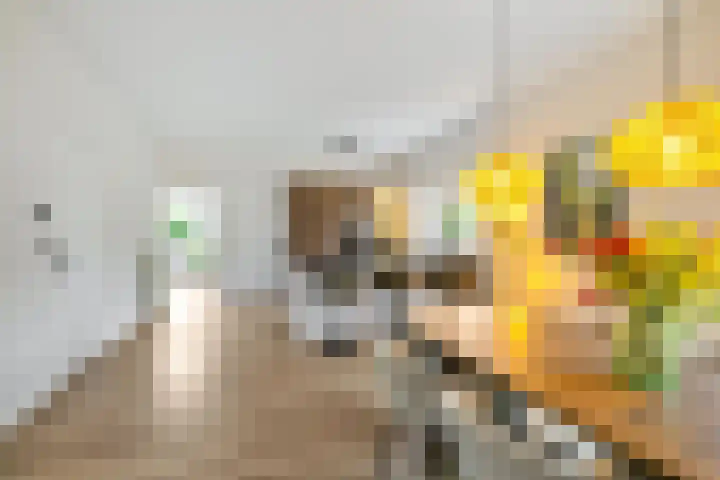 Boukemahof 9 Uithuizen thumbnail 11