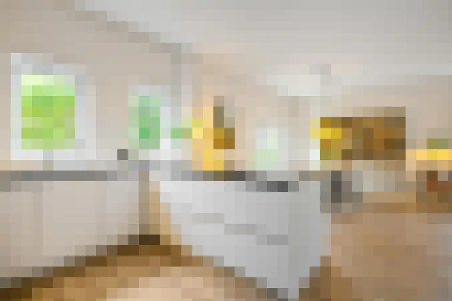 Boukemahof 9 Uithuizen thumbnail 12
