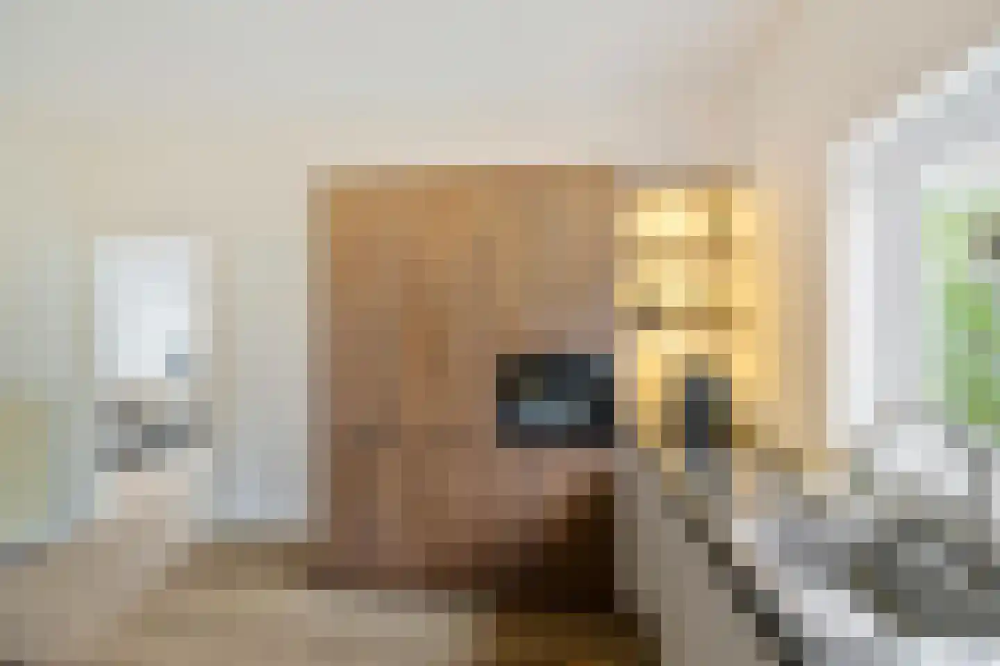 Boukemahof 9 Uithuizen thumbnail 16