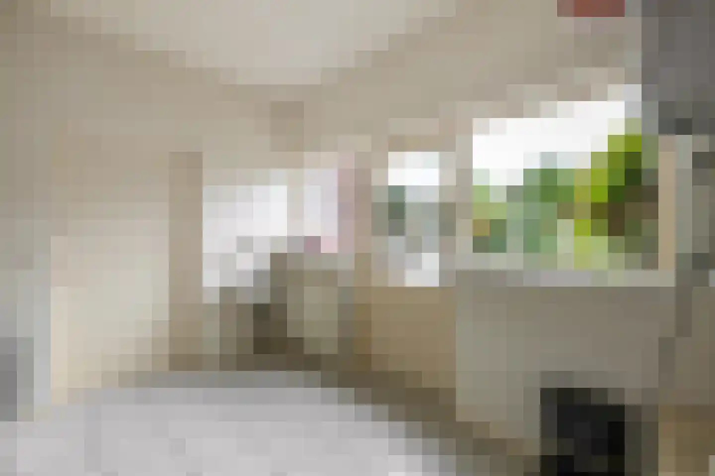 Boukemahof 9 Uithuizen thumbnail 24