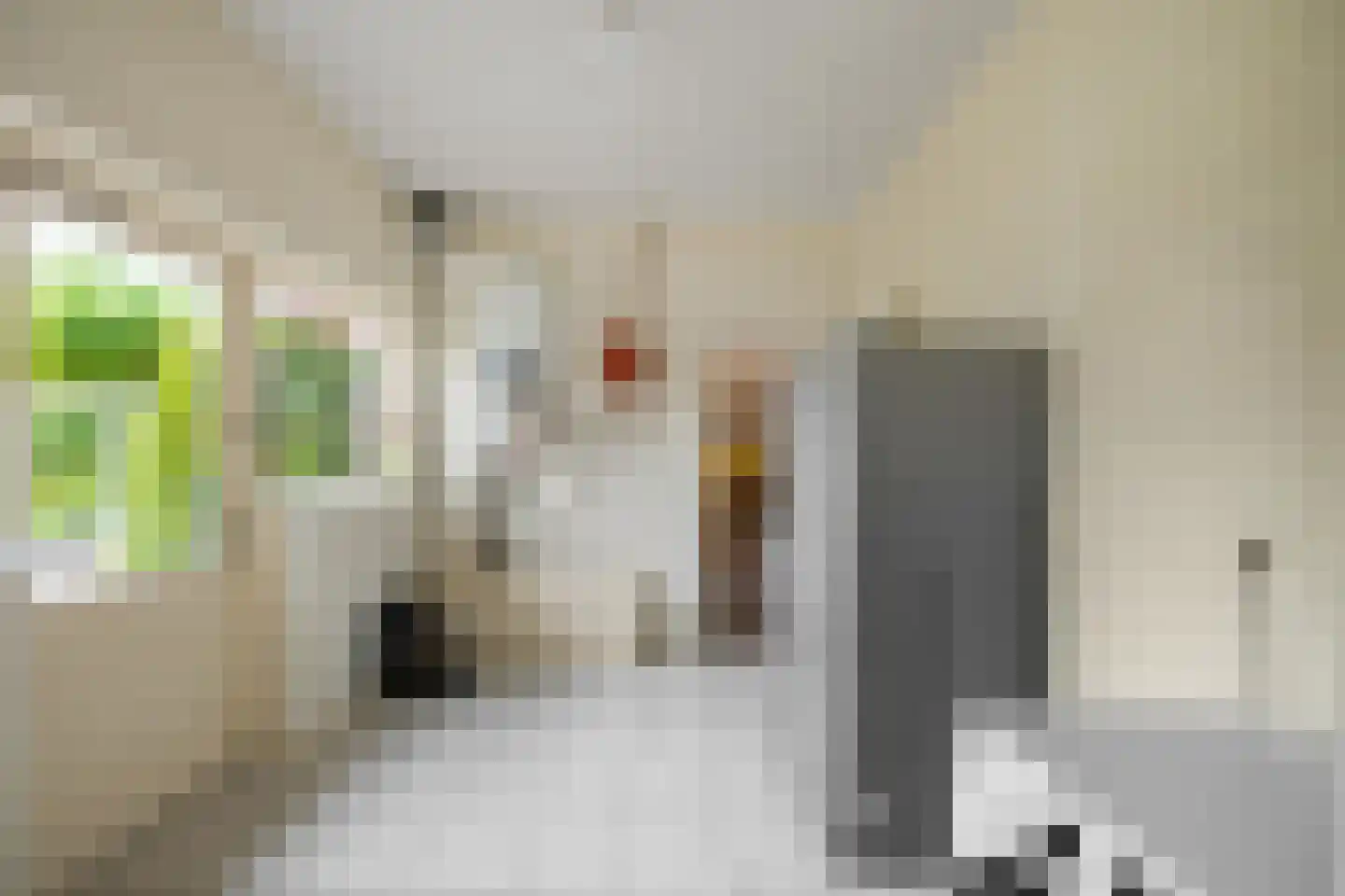 Boukemahof 9 Uithuizen thumbnail 25