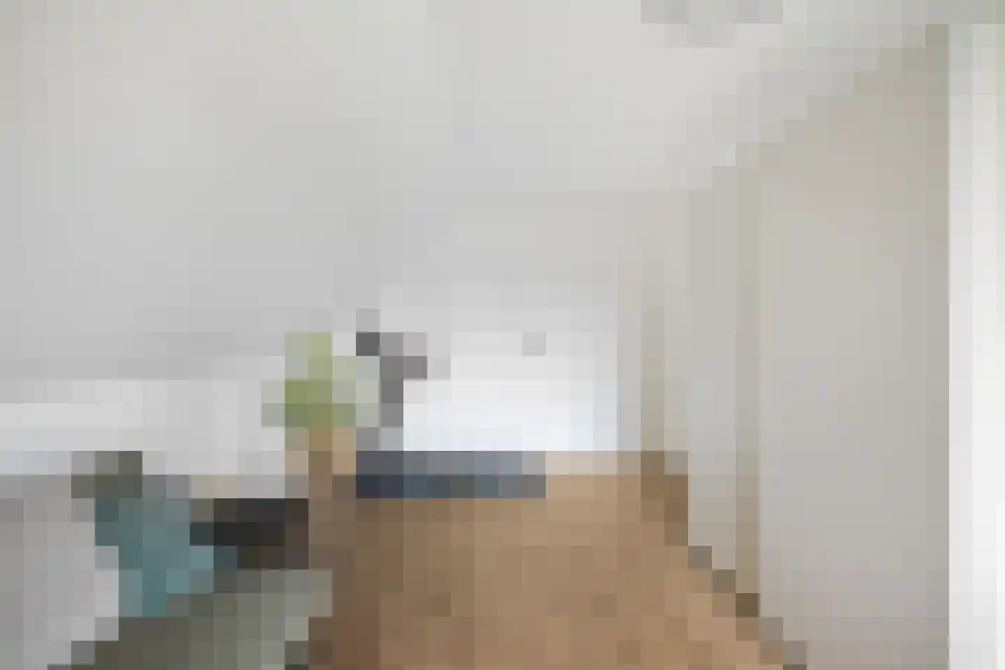 Boukemahof 9 Uithuizen thumbnail 36