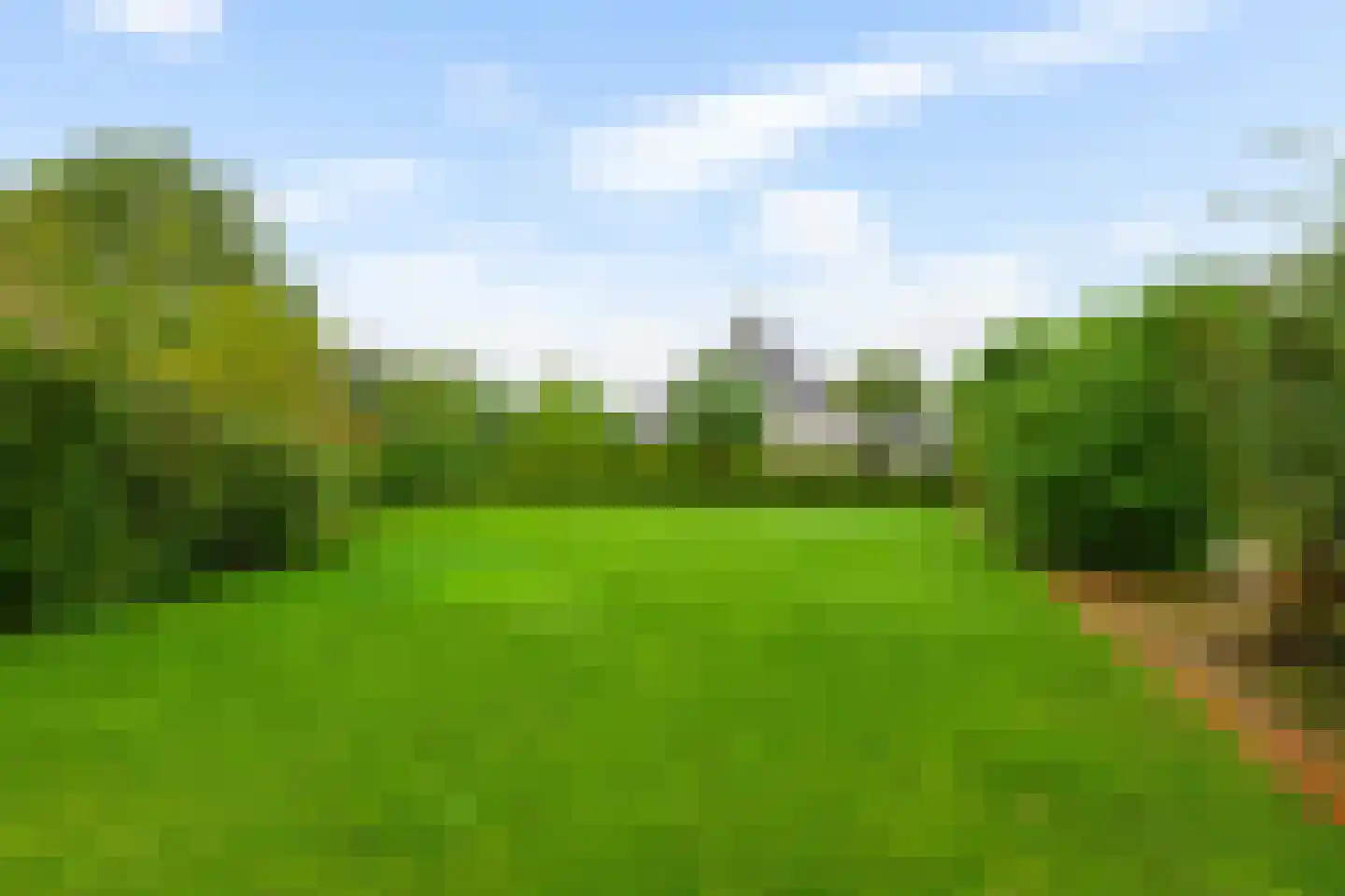 Boukemahof 9 Uithuizen thumbnail 44