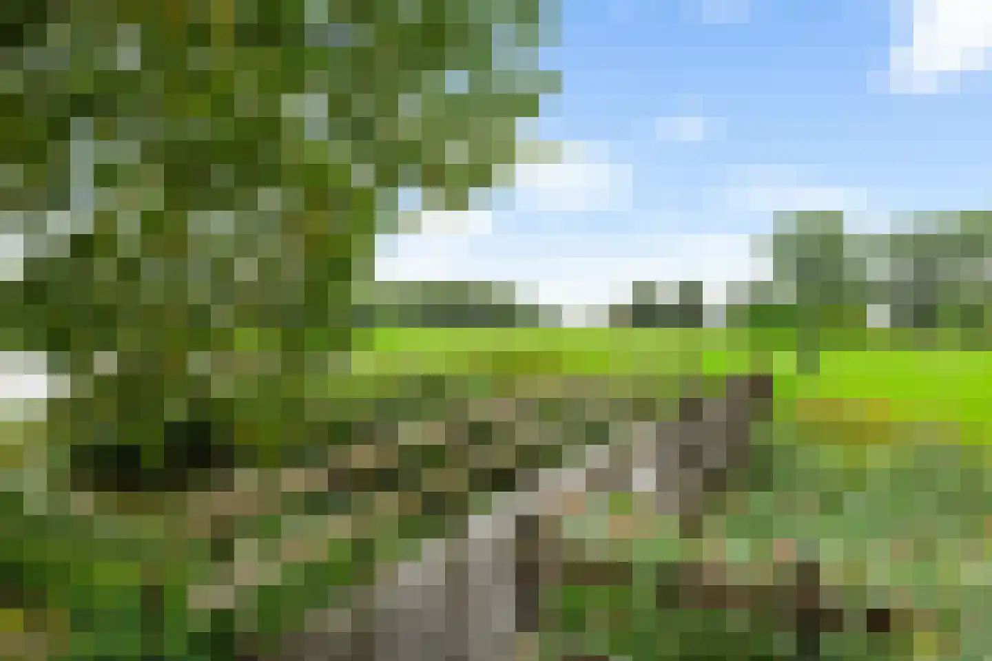 Boukemahof 9 Uithuizen thumbnail 48