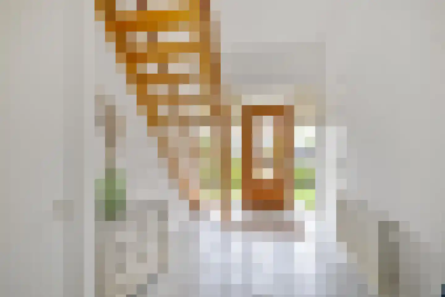 Boukemahof 9 Uithuizen thumbnail 5