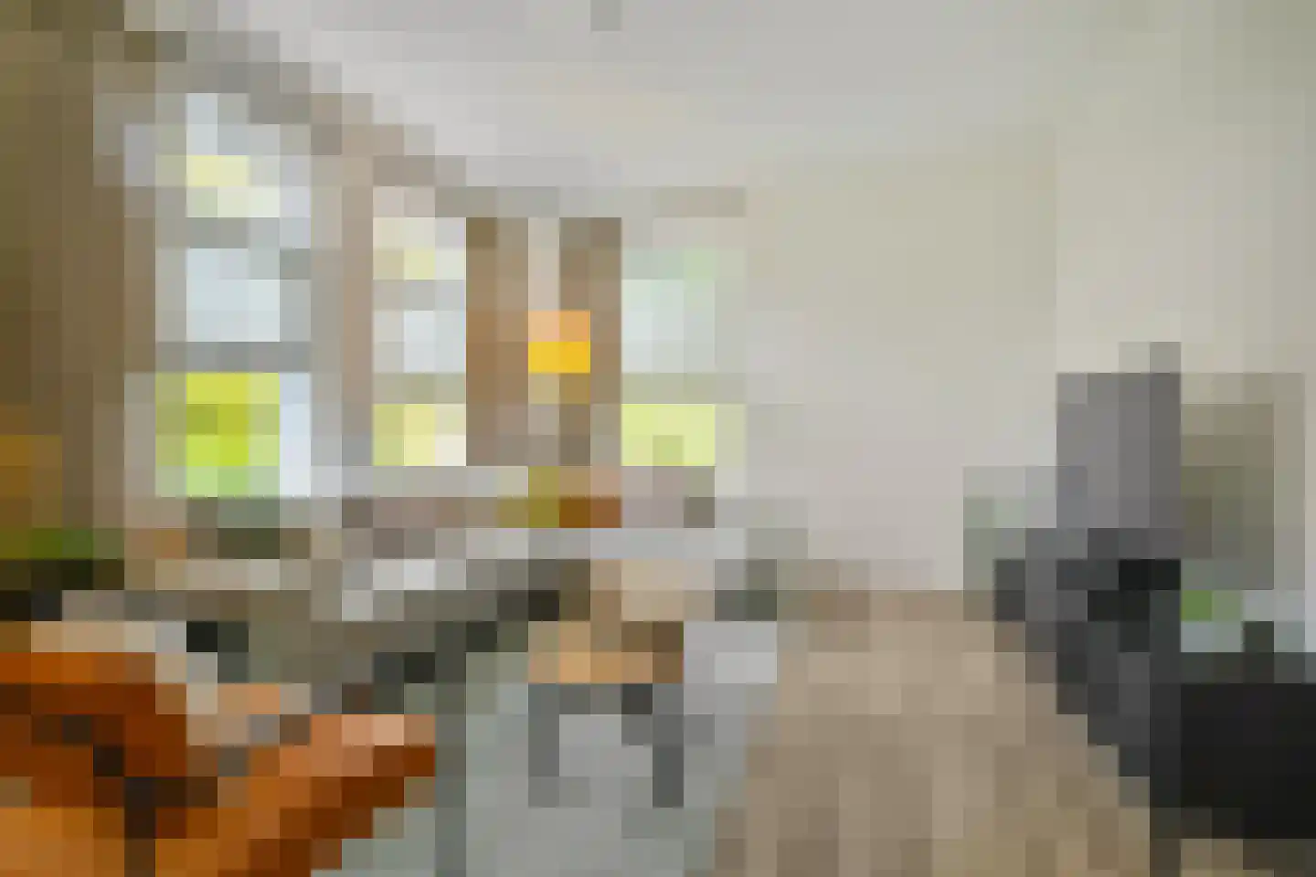 Boukemahof 9 Uithuizen thumbnail 8