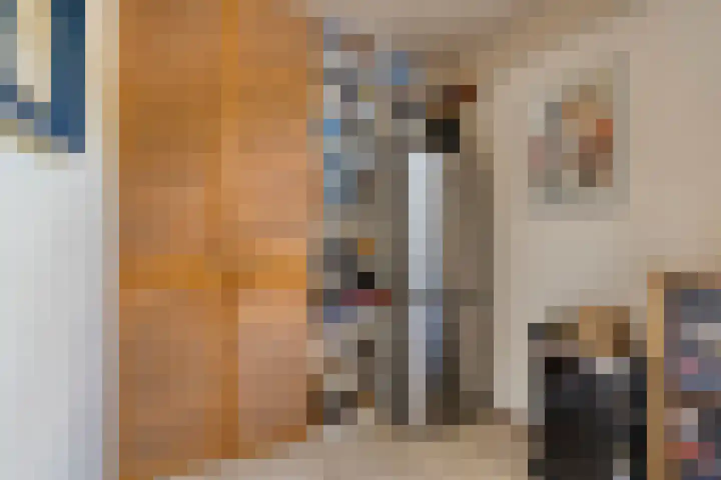 Boukeveld 3 Koog aan de Zaan thumbnail 11