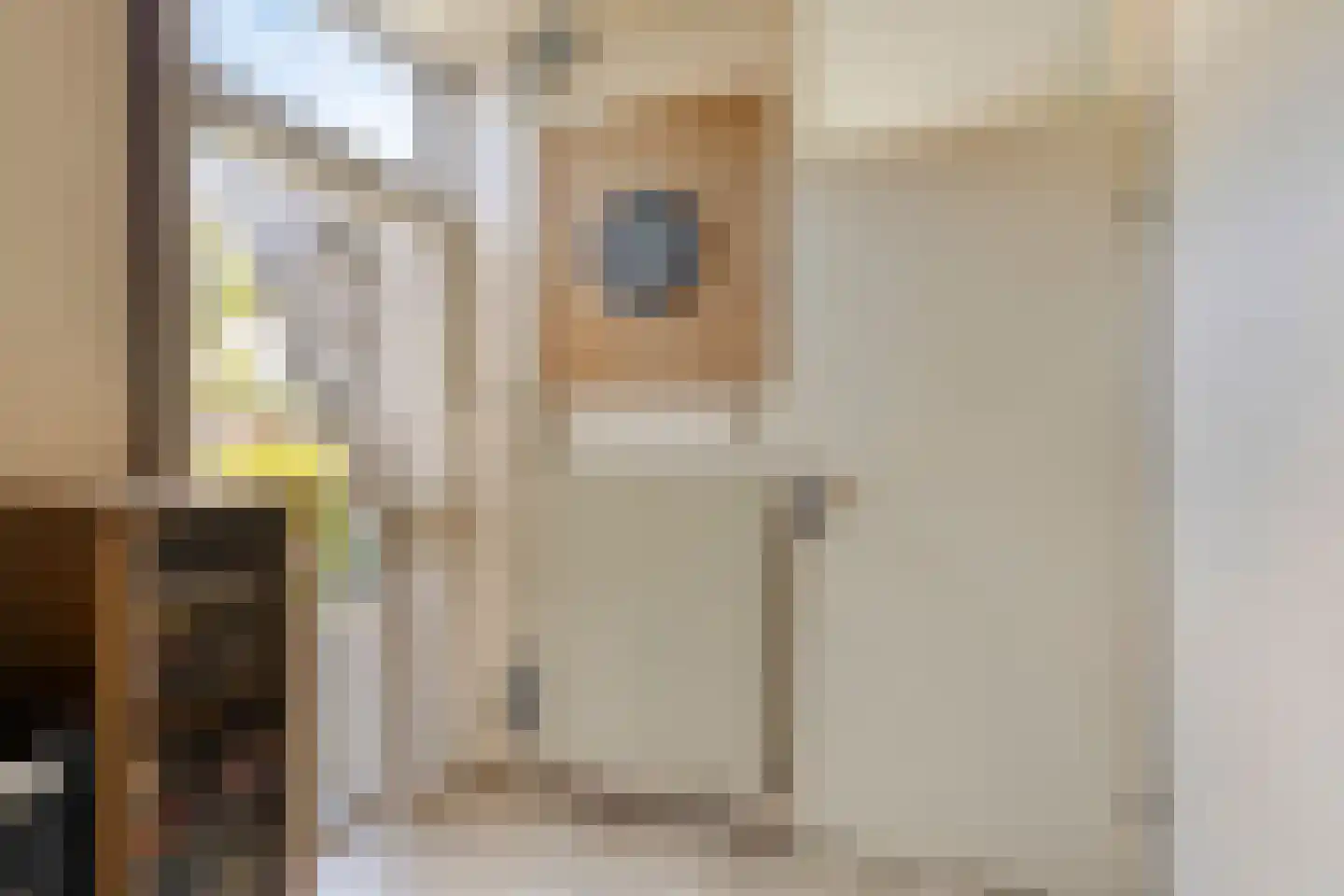 Boukeveld 3 Koog aan de Zaan thumbnail 12
