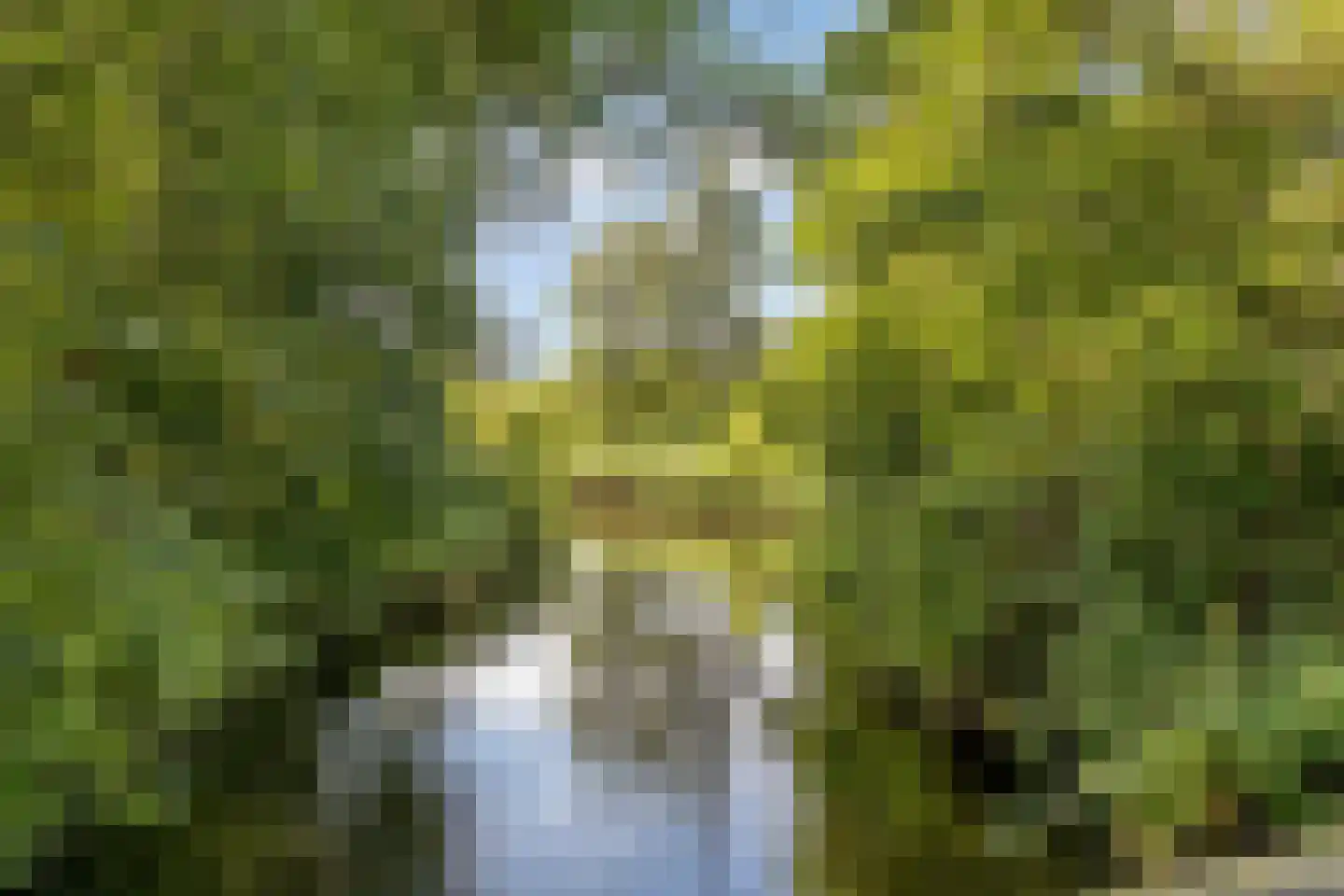 Boukeveld 3 Koog aan de Zaan thumbnail 28