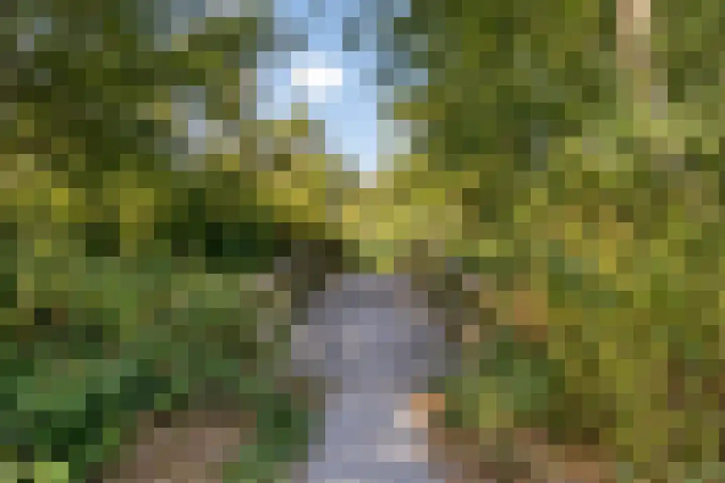 Boukeveld 3 Koog aan de Zaan thumbnail 29
