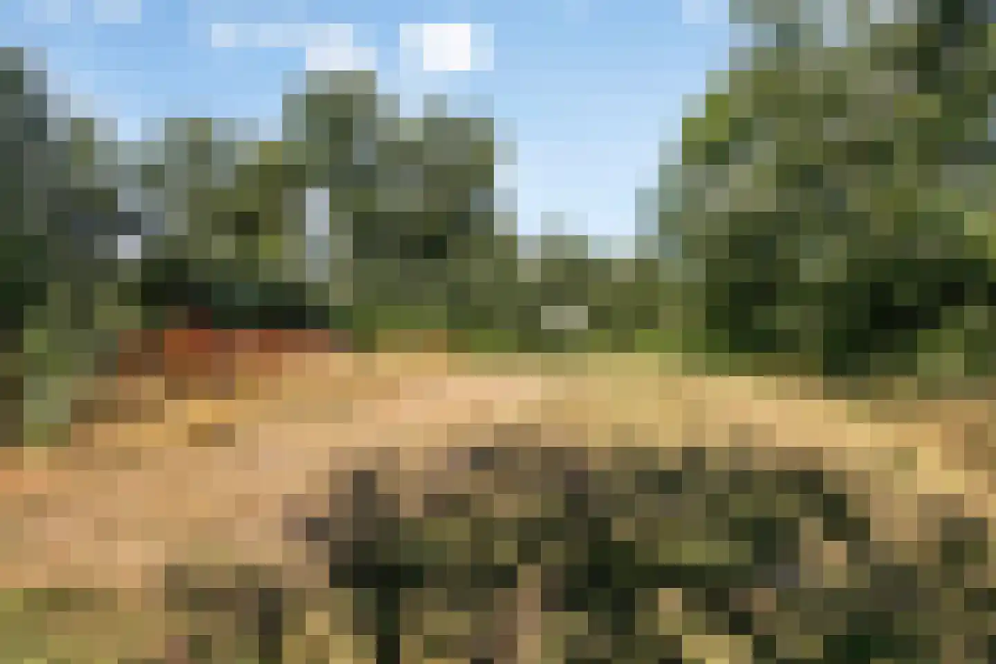 Boukeveld 3 Koog aan de Zaan thumbnail 31