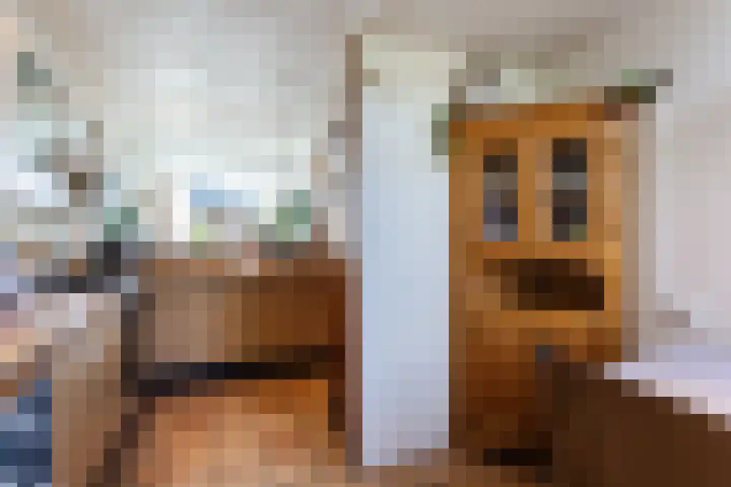 Boukezoom 22 Koog aan de Zaan thumbnail 17