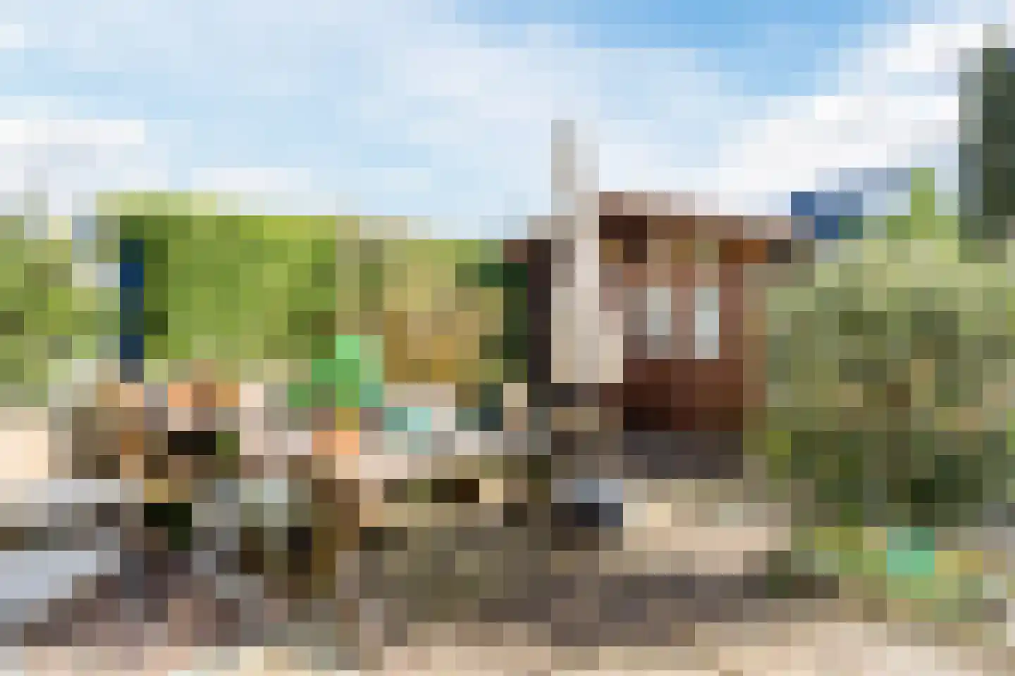 Boukezoom 22 Koog aan de Zaan foto 2