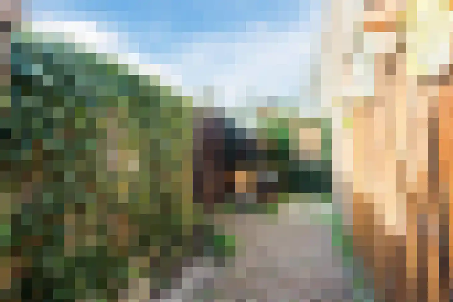 Boukezoom 22 Koog aan de Zaan thumbnail 40