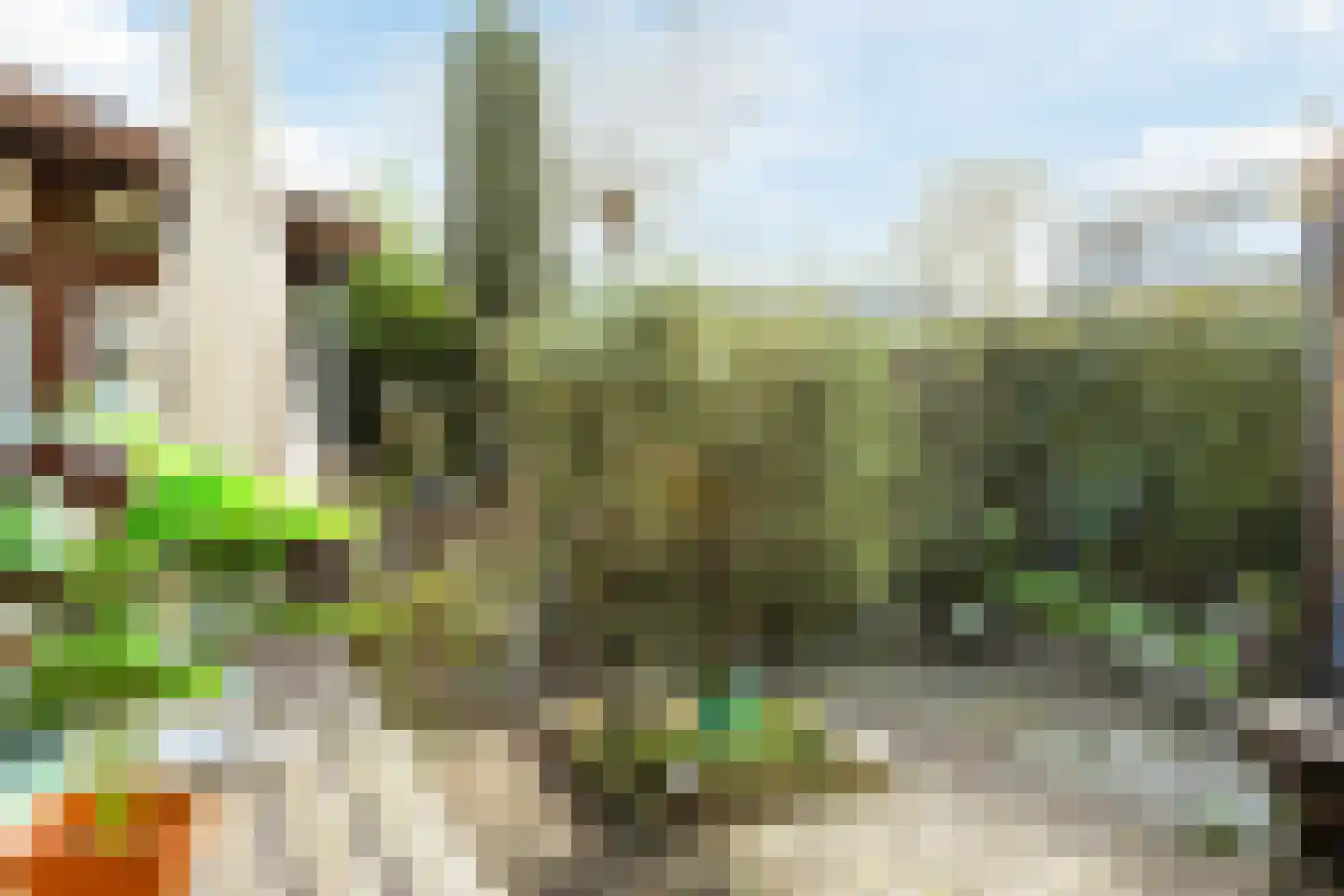 Boukezoom 22 Koog aan de Zaan thumbnail 41