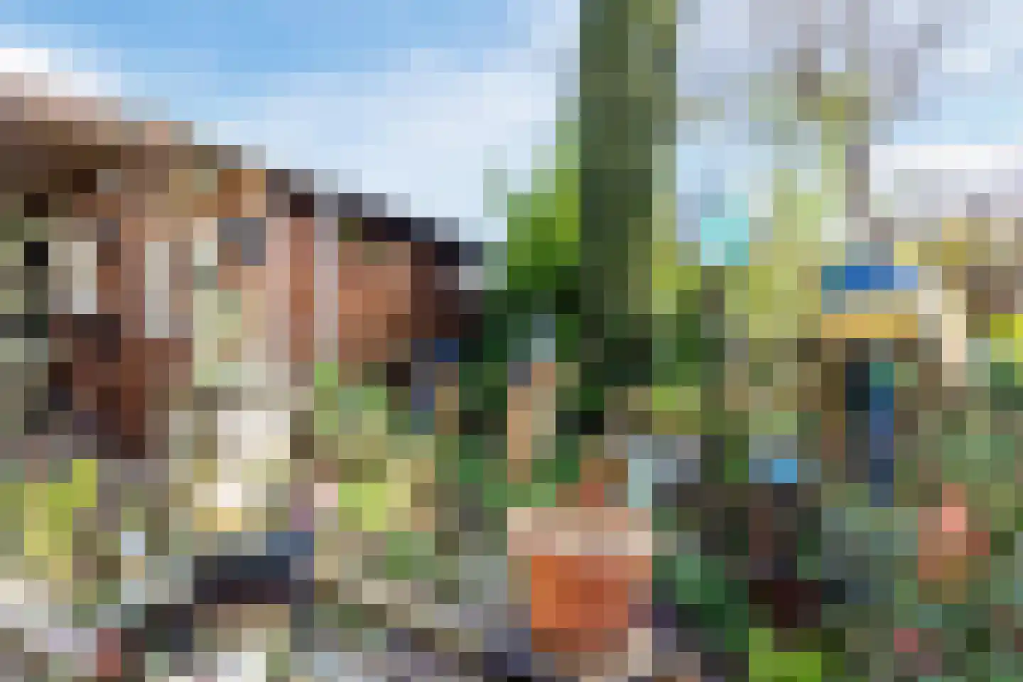 Boukezoom 22 Koog aan de Zaan thumbnail 42