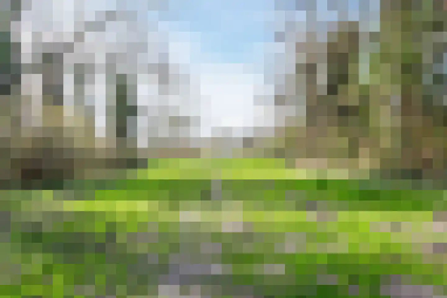 Boukezoom 22 Koog aan de Zaan thumbnail 43