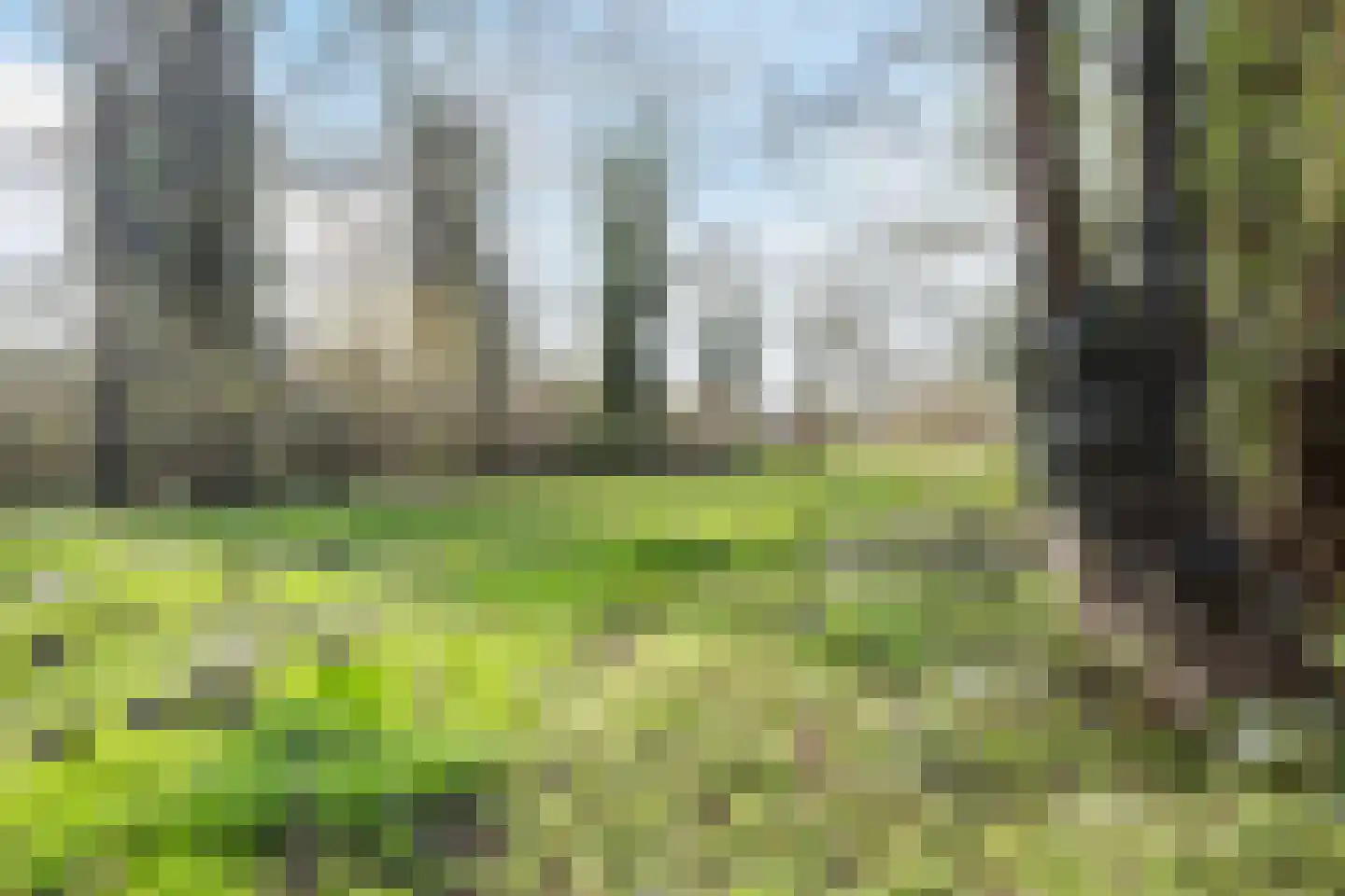 Boukezoom 22 Koog aan de Zaan thumbnail 44