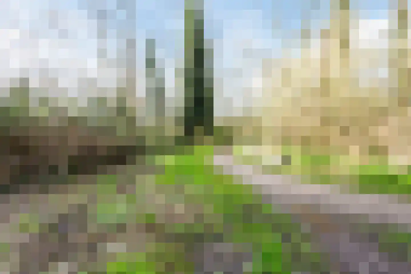 Boukezoom 22 Koog aan de Zaan thumbnail 45