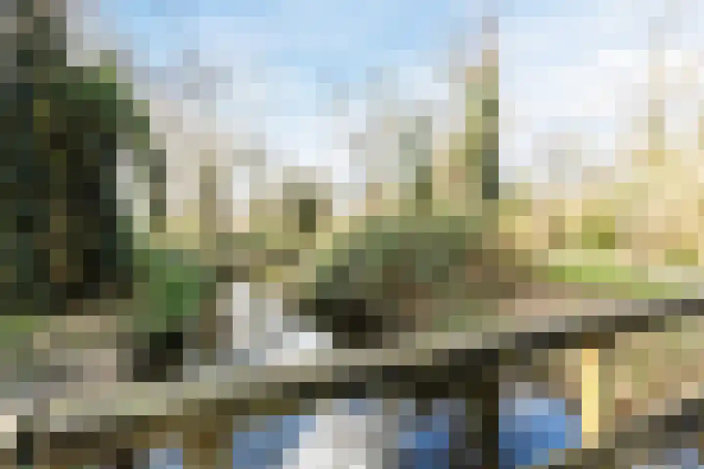 Boukezoom 22 Koog aan de Zaan thumbnail 46