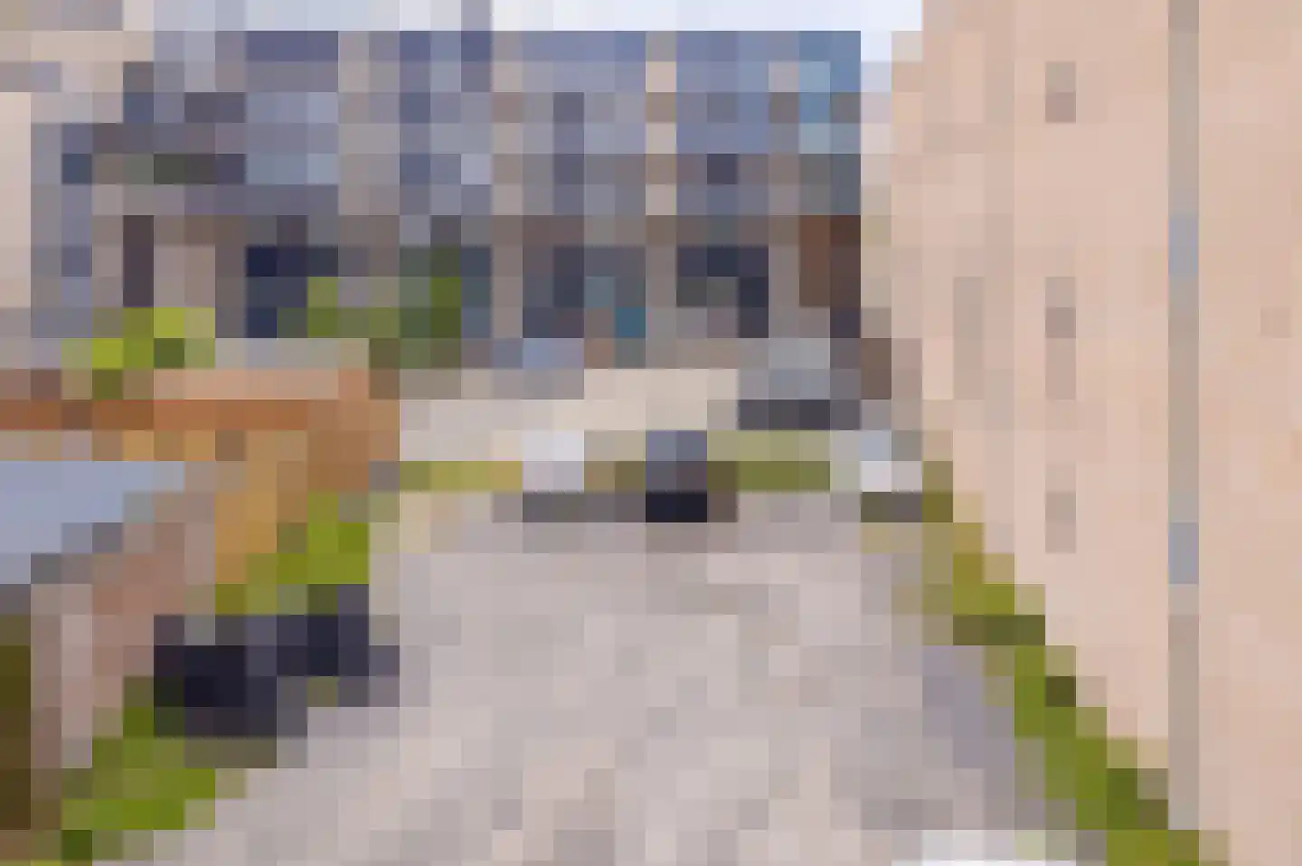 Boulevard 1 c Roosendaal thumbnail 17