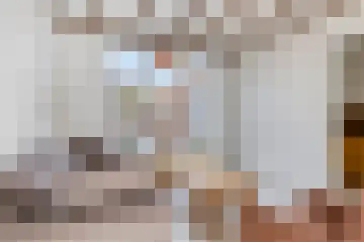 Boulevard 100 Breskens thumbnail 10