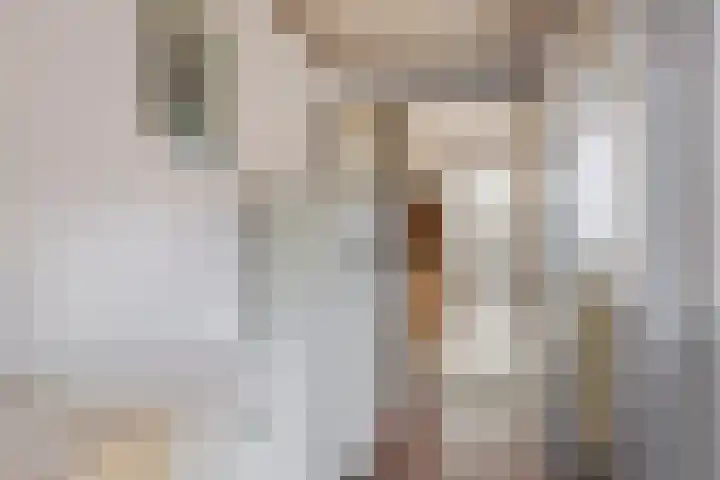 Boulevard 100 Breskens thumbnail 13