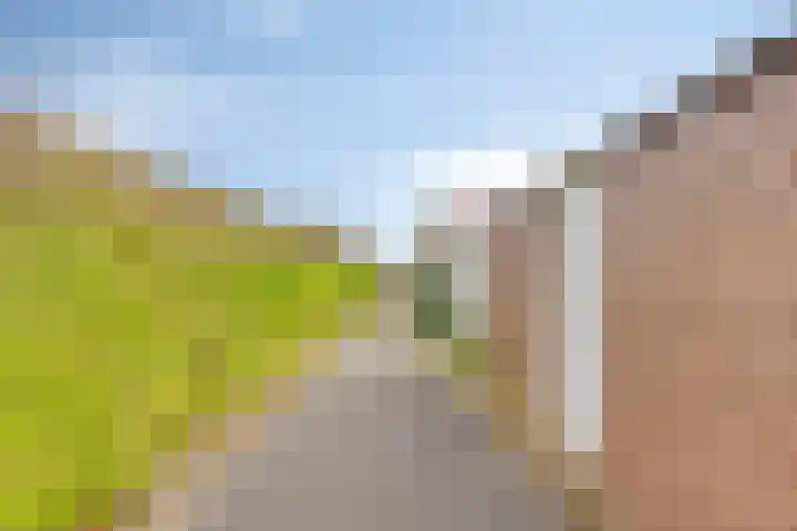 Boulevard 100 Breskens thumbnail 32
