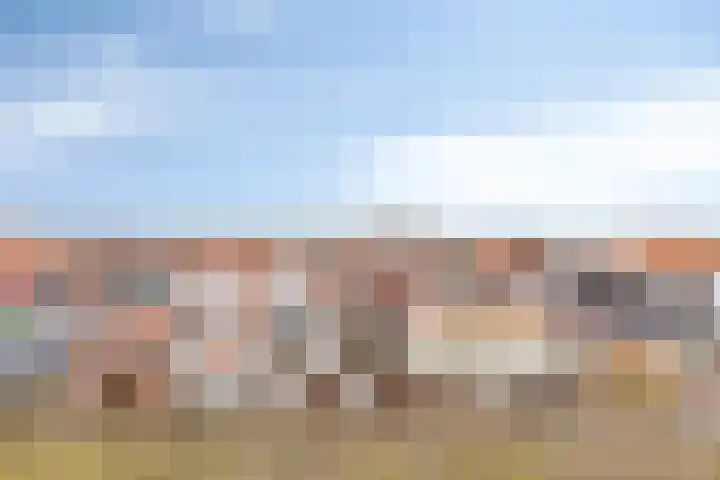 Boulevard 100 Breskens thumbnail 33