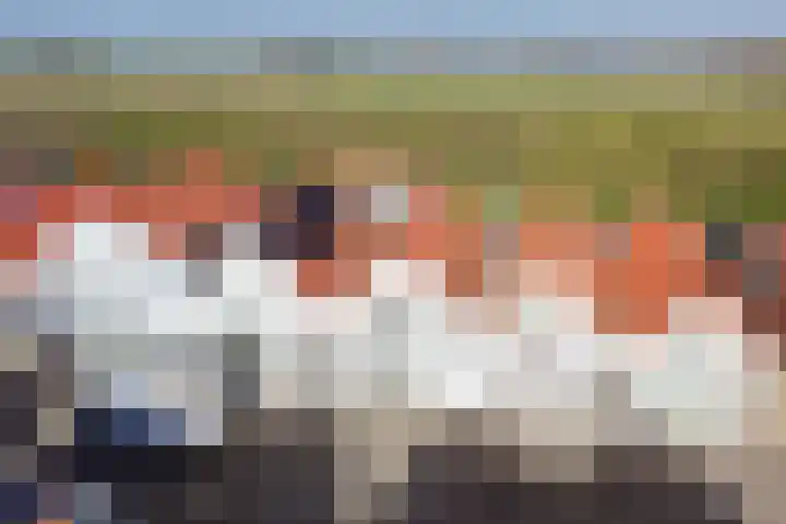 Boulevard 100 Breskens thumbnail 37