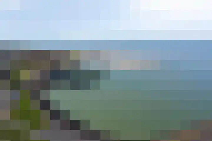 Boulevard 100 Breskens thumbnail 38