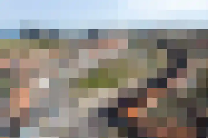 Boulevard 100 Breskens thumbnail 41