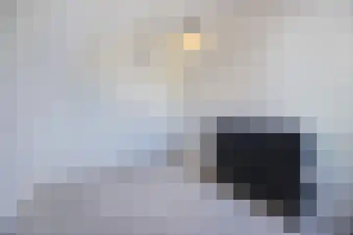 Boulevard 117 Roosendaal thumbnail 33