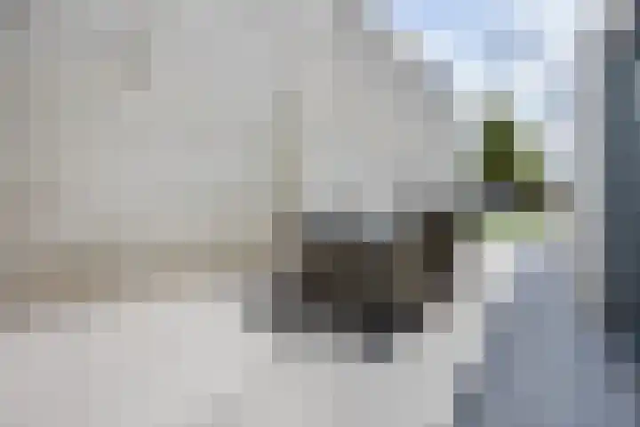 Boulevard 117 Roosendaal thumbnail 38