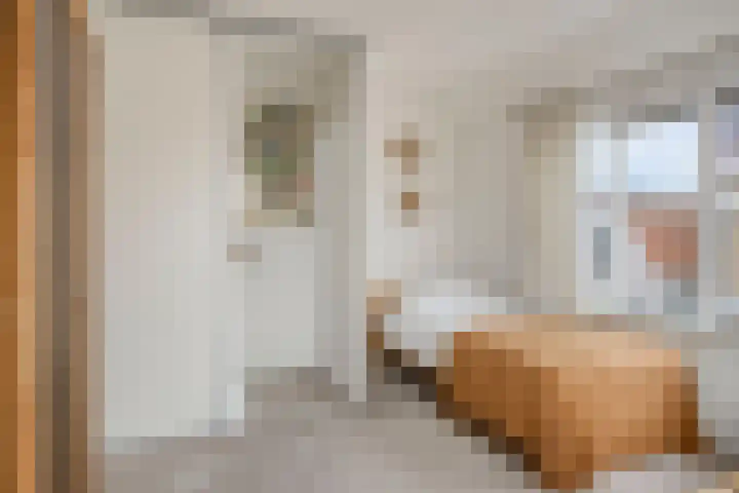 Boulevard 136 Breskens thumbnail 25