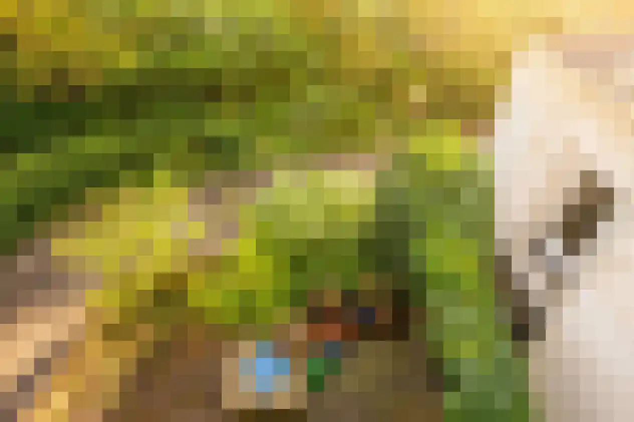 Boulevard 136 Breskens thumbnail 34