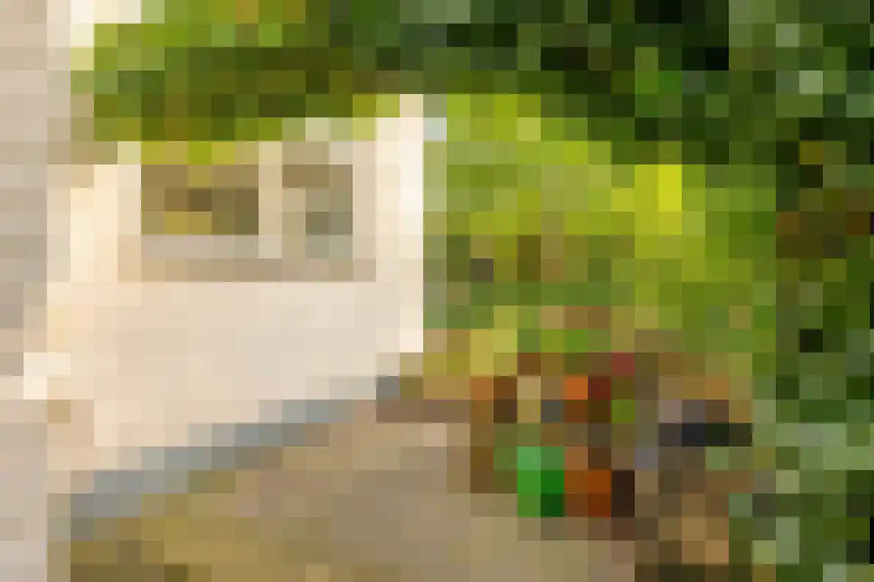 Boulevard 136 Breskens thumbnail 35