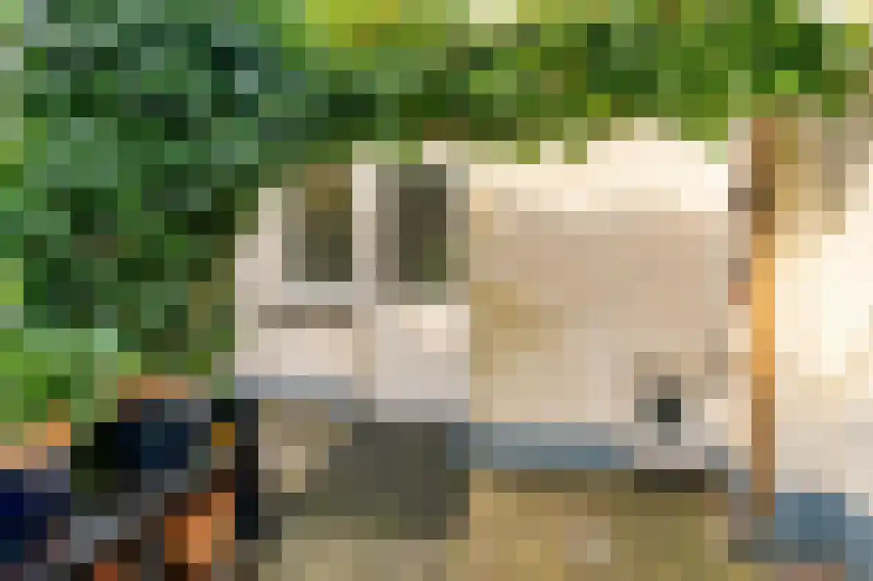 Boulevard 136 Breskens thumbnail 36