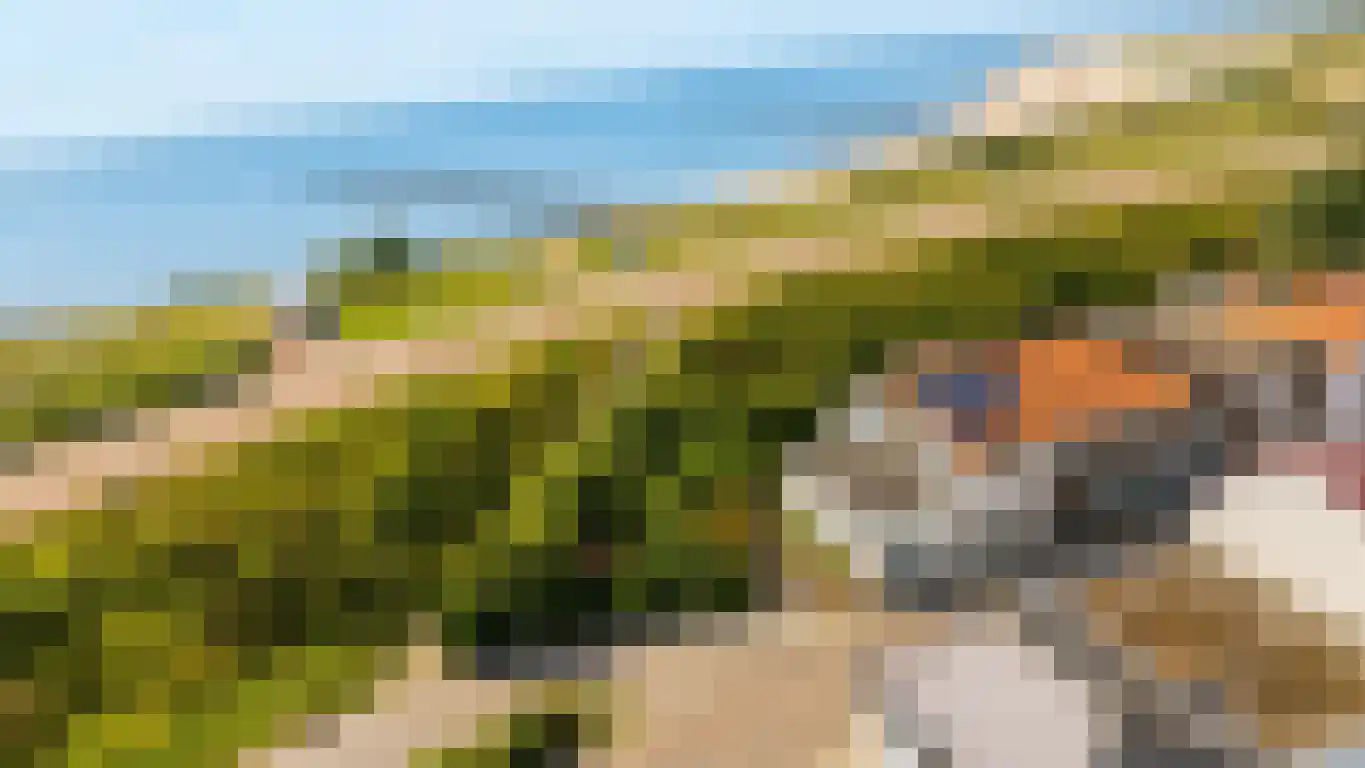 Boulevard 136 Breskens thumbnail 4