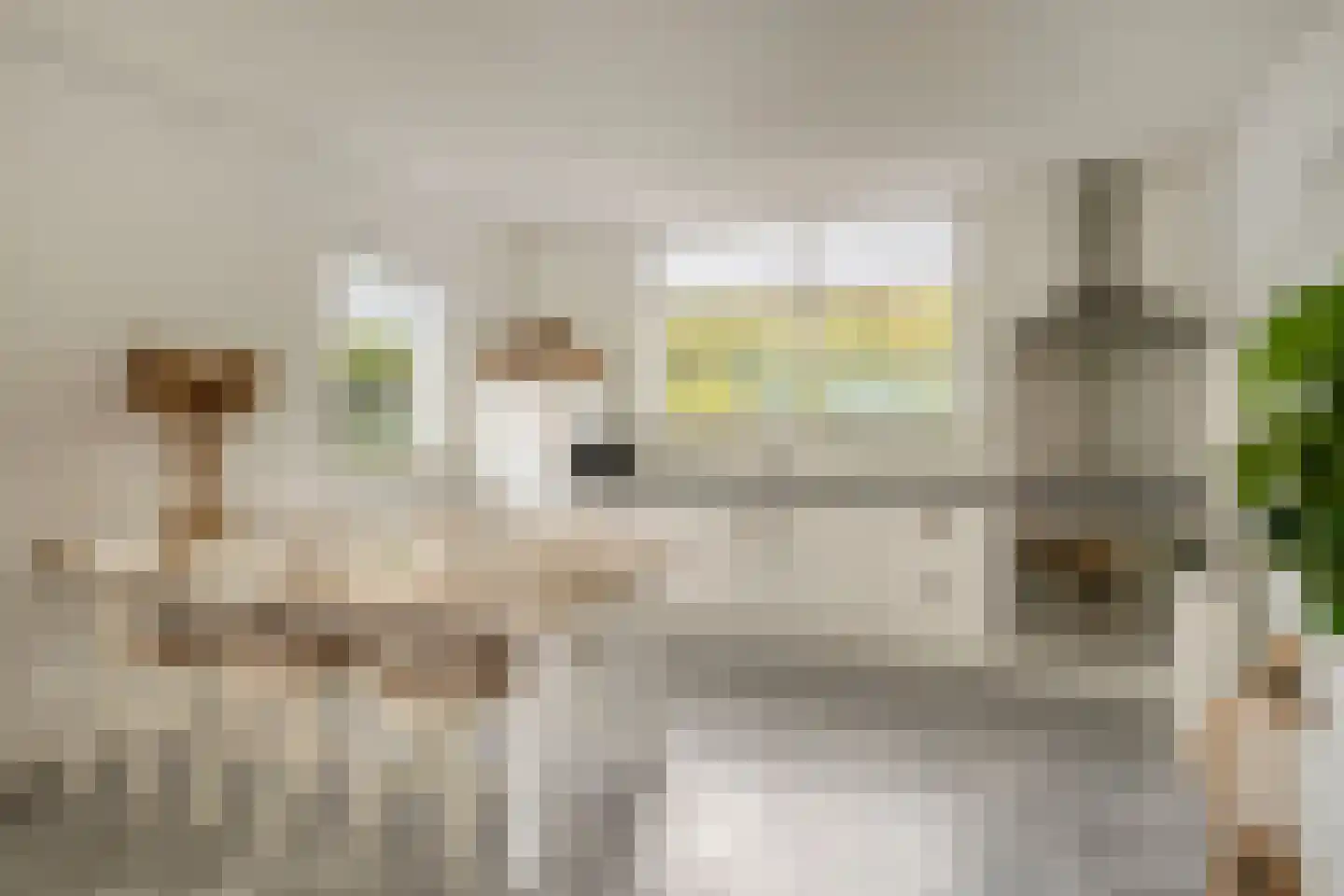 Boulevard 136 Breskens thumbnail 9