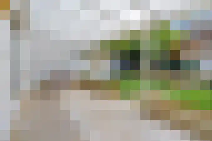 Boulevard 14 Grevenbicht thumbnail 18